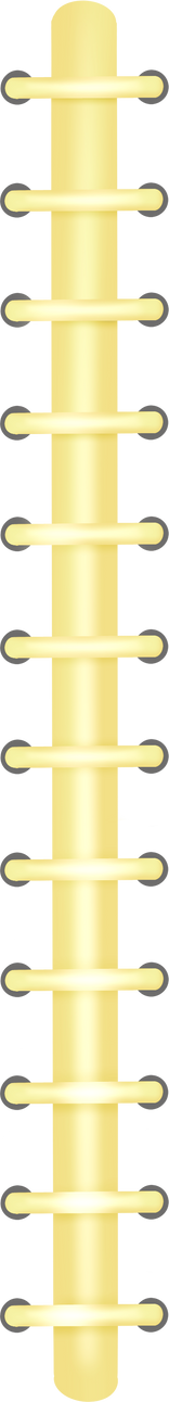 Binder Spring Illustration